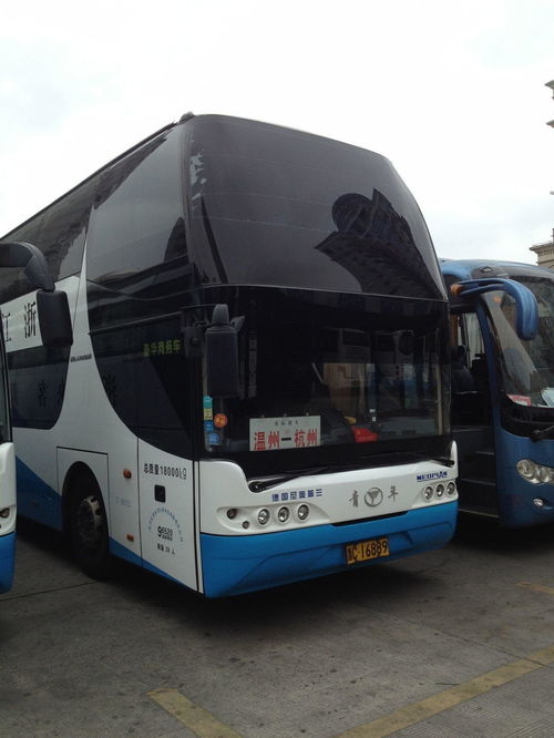 溫州市交通運輸集團 打造高效城市配送運輸服務